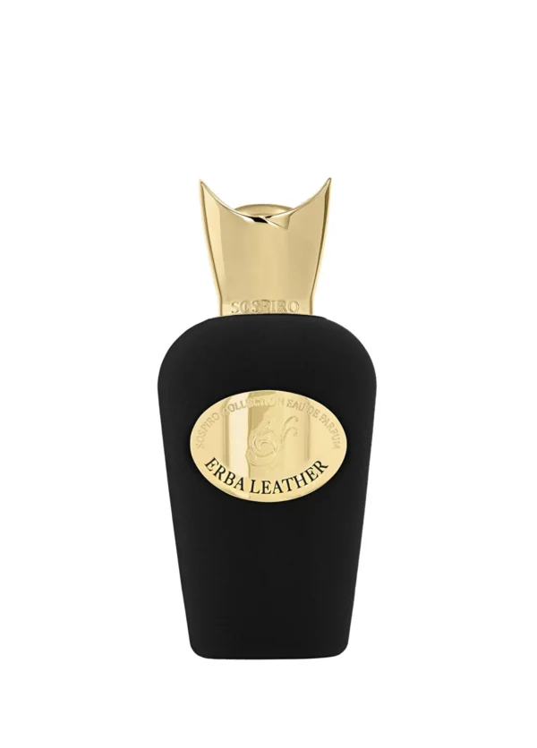 Erba Leather Eau De Unisex Parfüm 100 ml