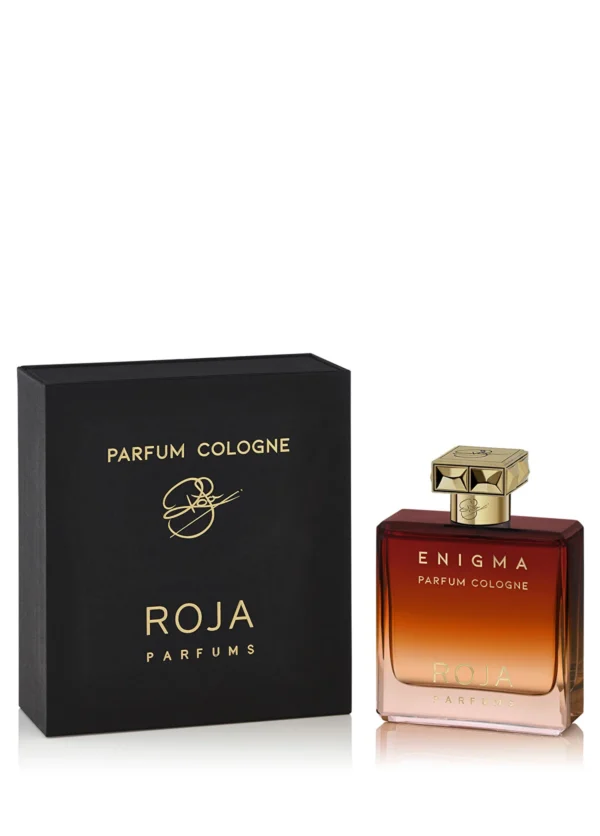 Enigma Pour Homme Parfum Cologne 100ml - Görsel 3