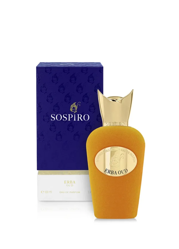Erba Oud EDP 100 ml Unisex Parfüm